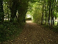 futur trail 037